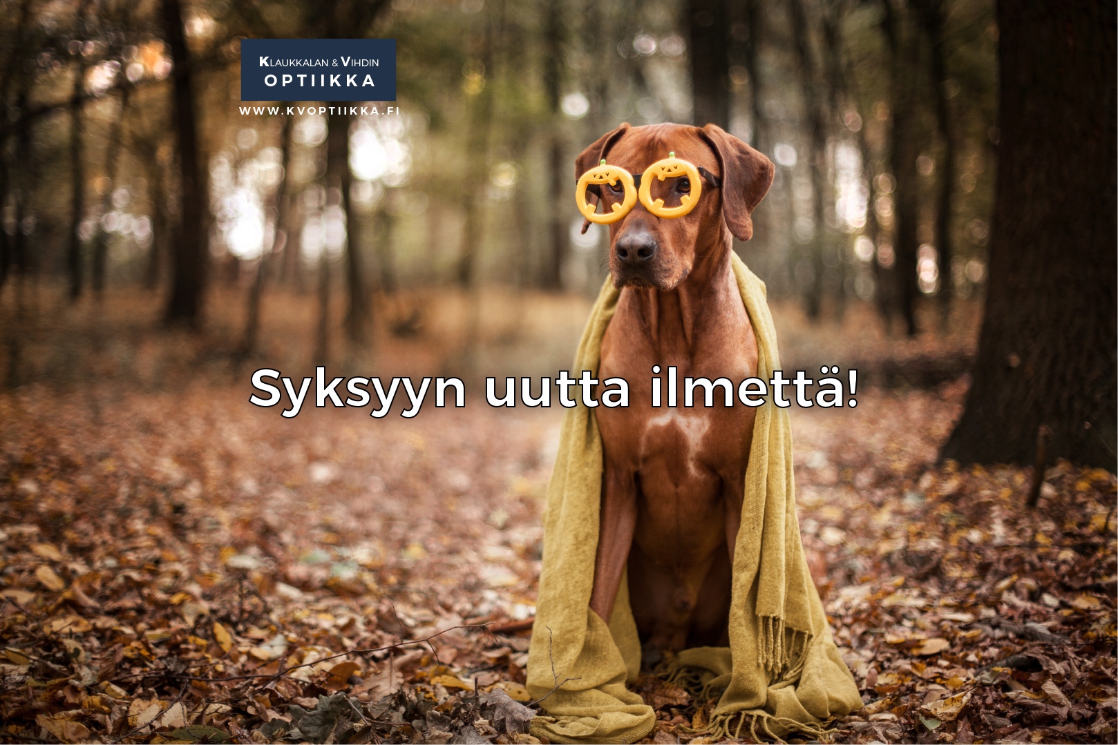 Syksy 2020 Netti